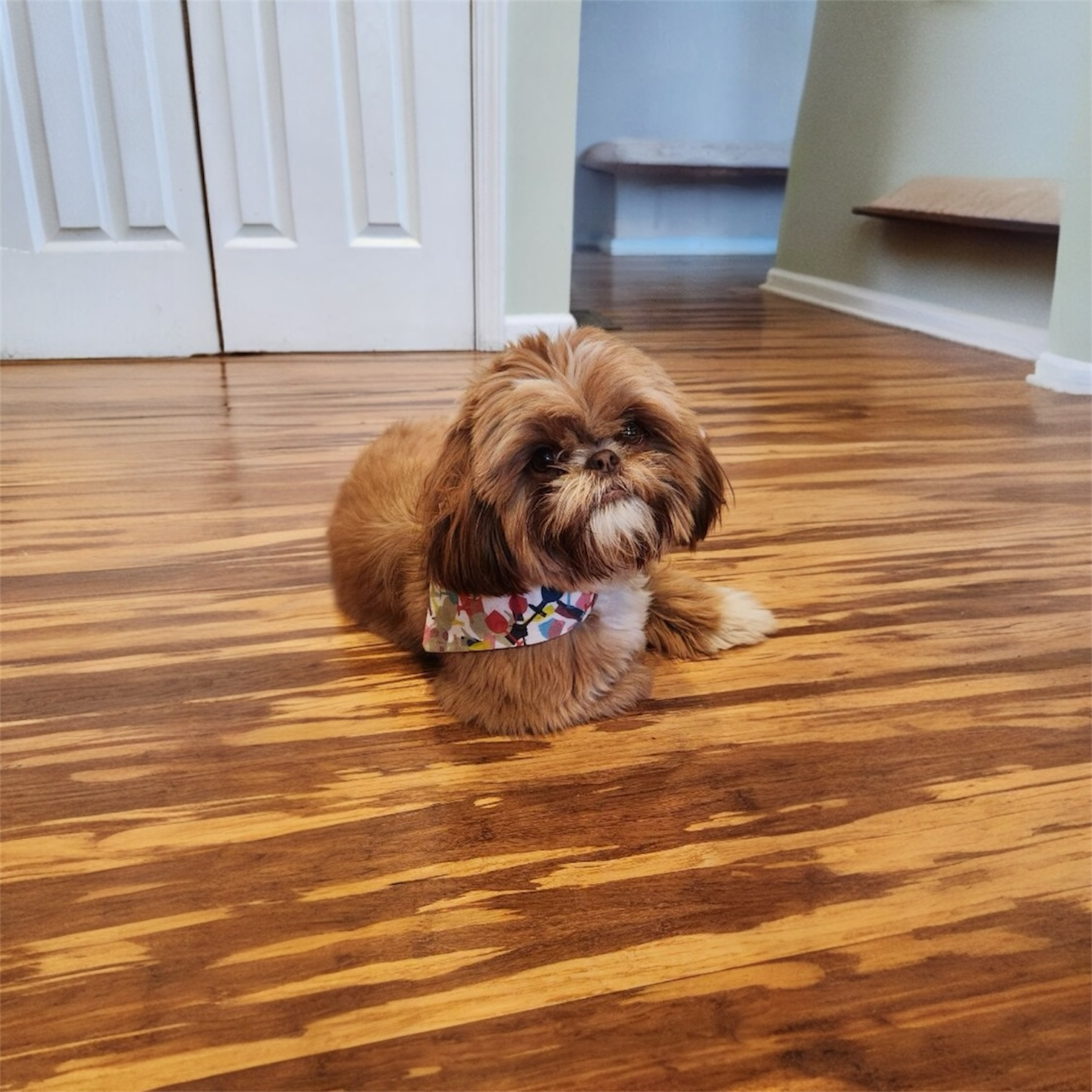 Wine & Vines collection